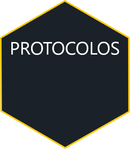 Protocolos